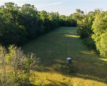 Turnkey Louisiana Hunting Tract with Camp and Income