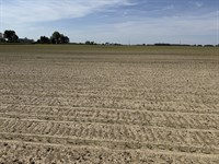 Land Auction, Allen County, In : Fort Wayne : Allen County : Indiana