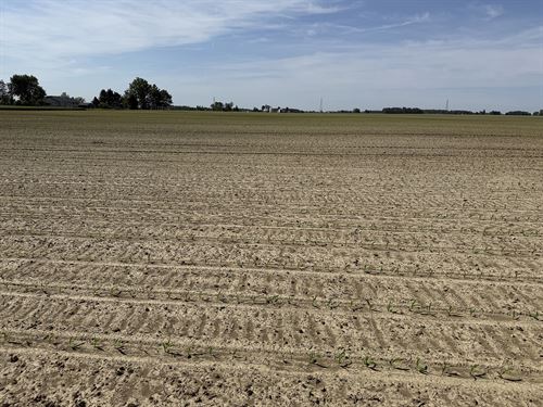 Land Auction, Allen County, In : Fort Wayne : Allen County : Indiana